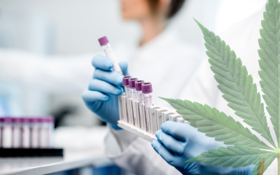Marijuana Has Been Legalized in the Majority of States, but OSHA’s Post-Incident Drug-Testing Guidance Hasn’t Changed